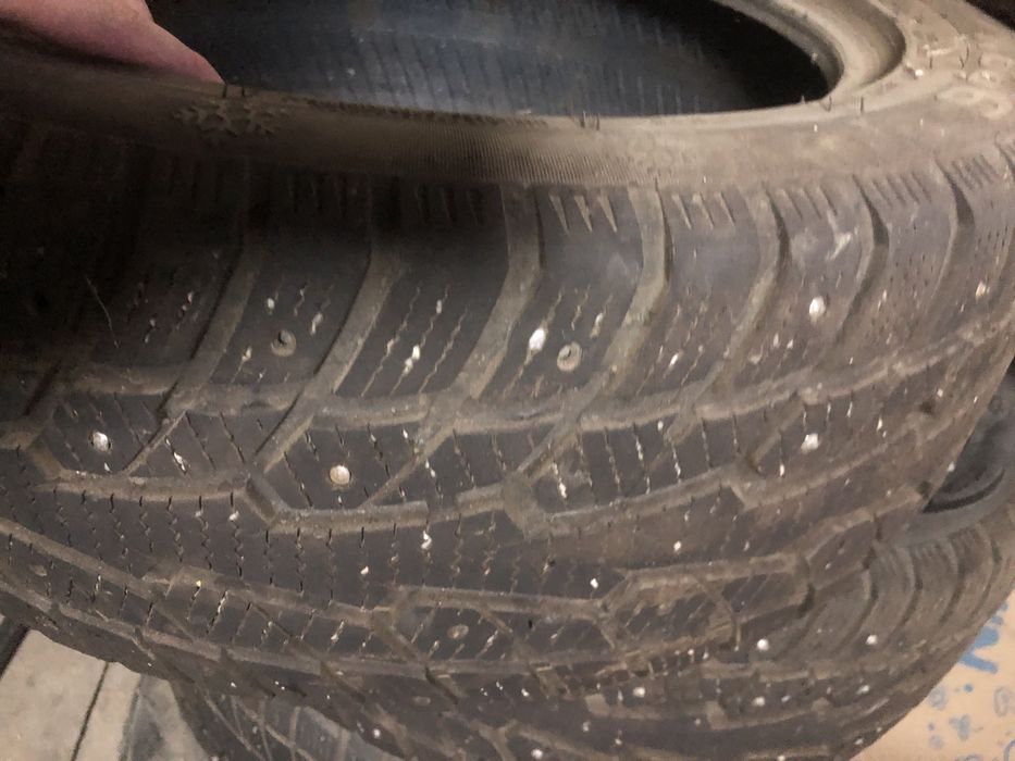 Шины зимние шипы ecovision