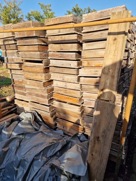 Sezlonguri + saltele 170 lei buc