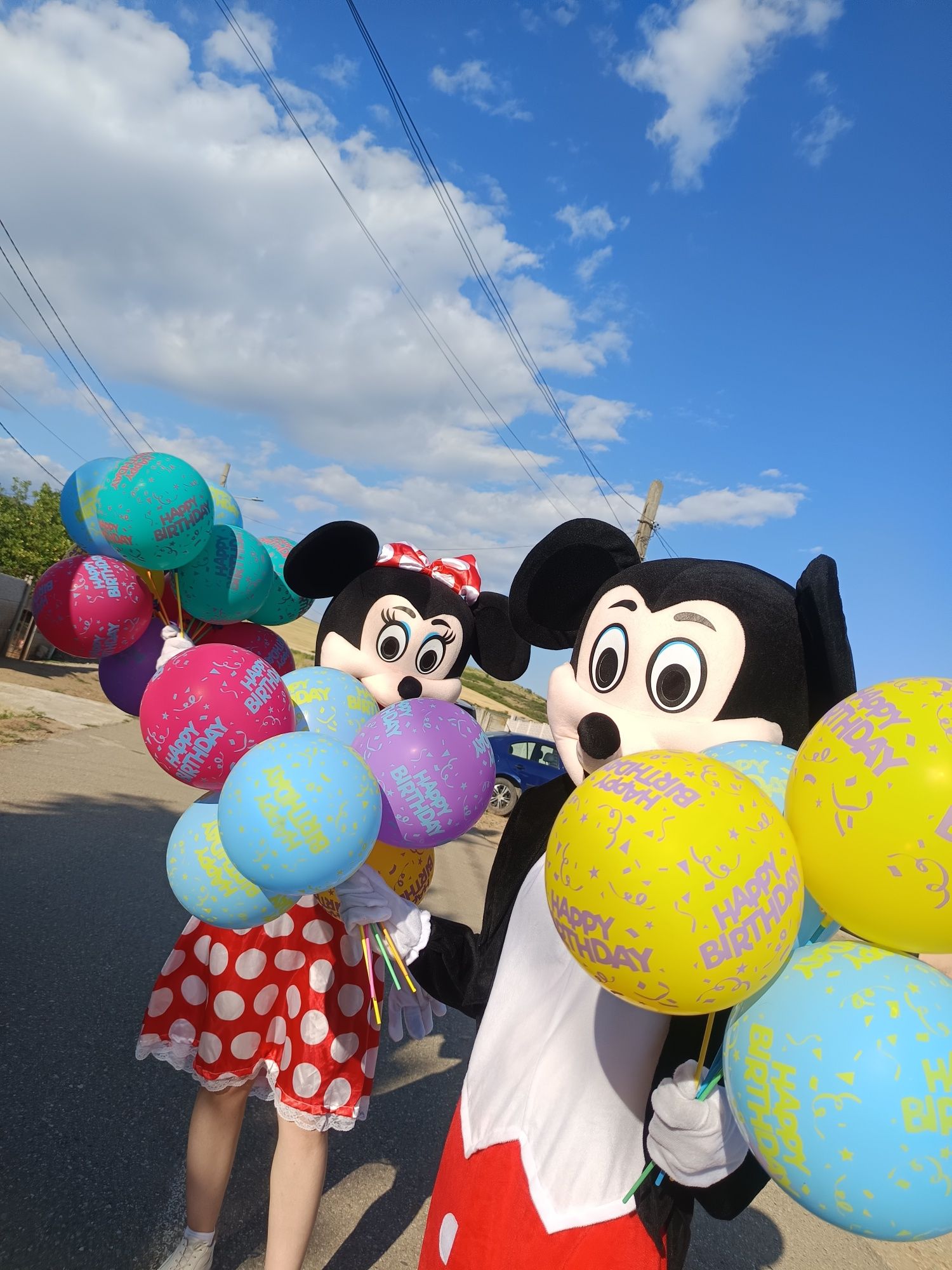 Mascote Mikey și Minnie...Lillo și Stitch
