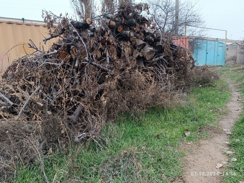 Oʻtin sotiladi. Продается дрова