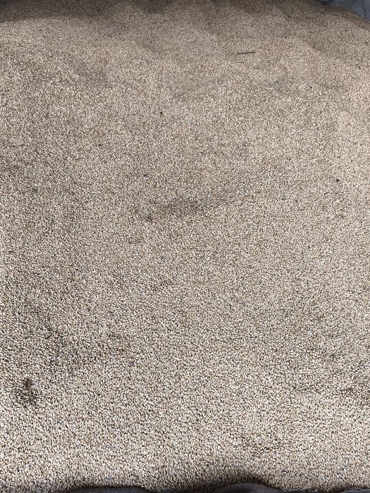 Vând grâu producție 2025