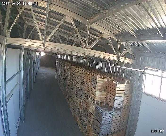 Продам яблоки 74 тонн с.Тескенсу.
