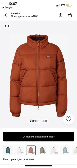 Преходно Яке  Dickies