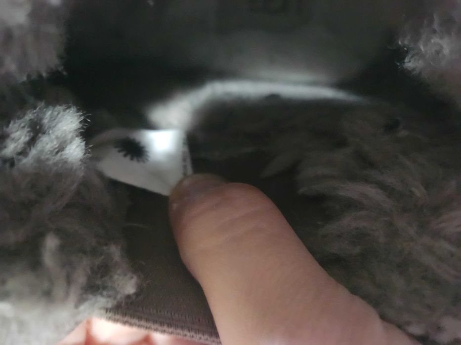 Vand UGG originale in stare impecabila