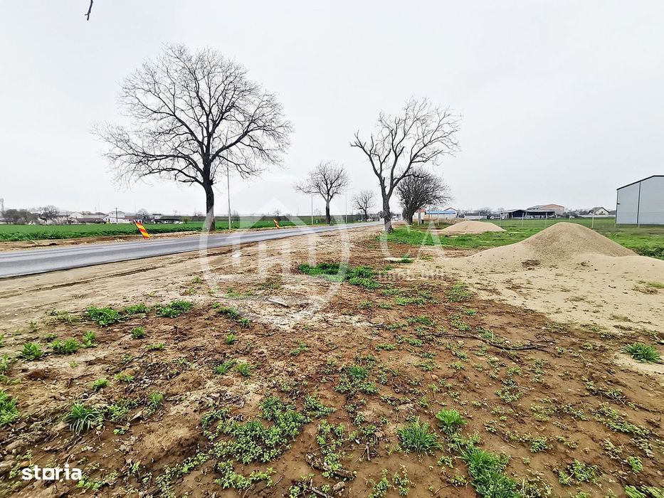 Teren intravilan de inchiriat in Santandrei, Bihor