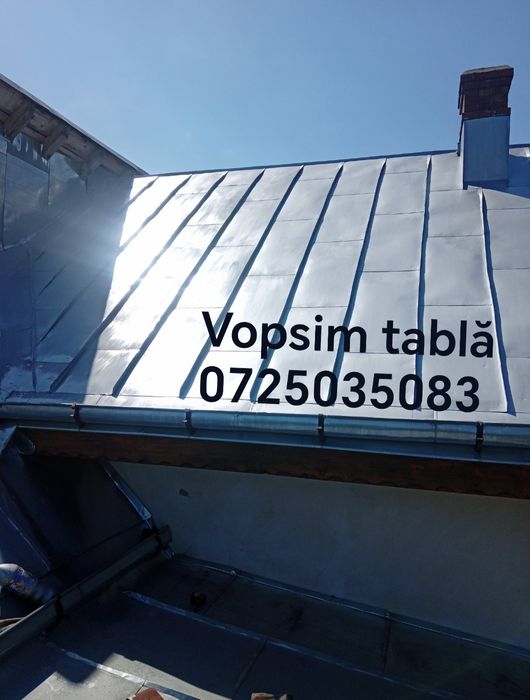 Vopsim tablă pe case garduri etc