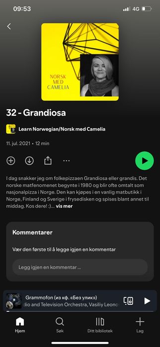 Meditații limba norvegiană cu un profesionist.