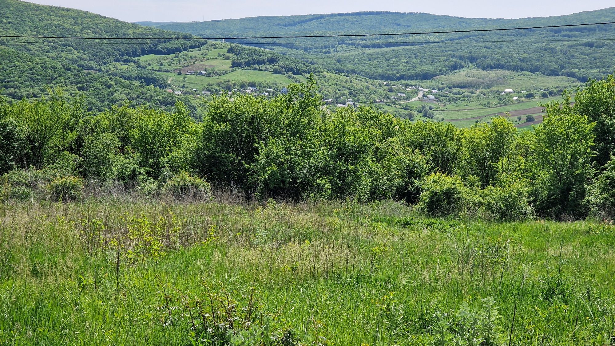 Teren Chicerea Tomesti pentru locuinta sau dezvoltare afacere