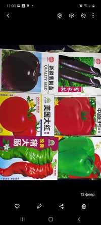 Семена овощей  китай
