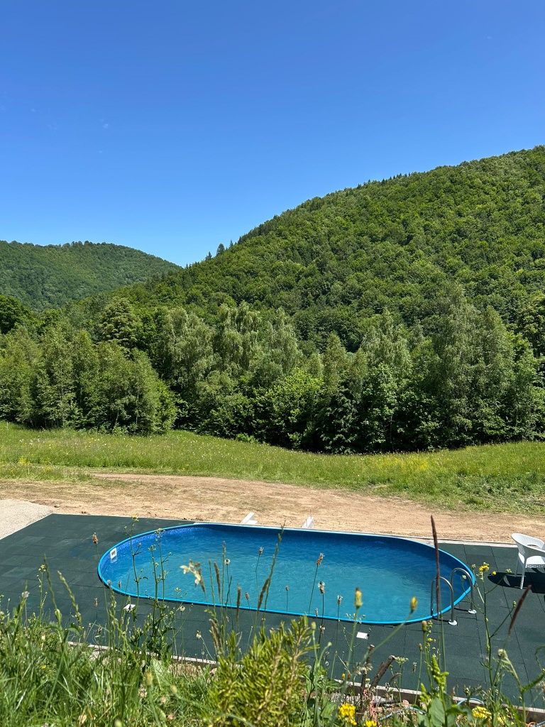 Cabana de inchiriat cu PISCINA si CIUBAR Valea Ierii-Baisoara-Cluj