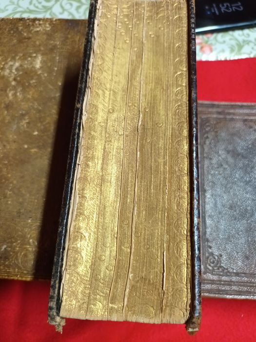 Biblie evanghica germana an 1868
