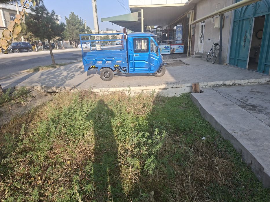 Elektiron muraviy gibrit mator