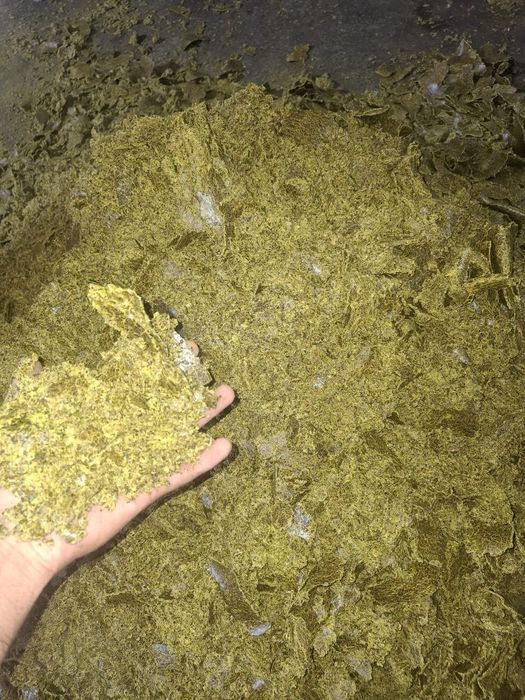 Yem Kunjara chorva hayvonlar uchun optom narxda