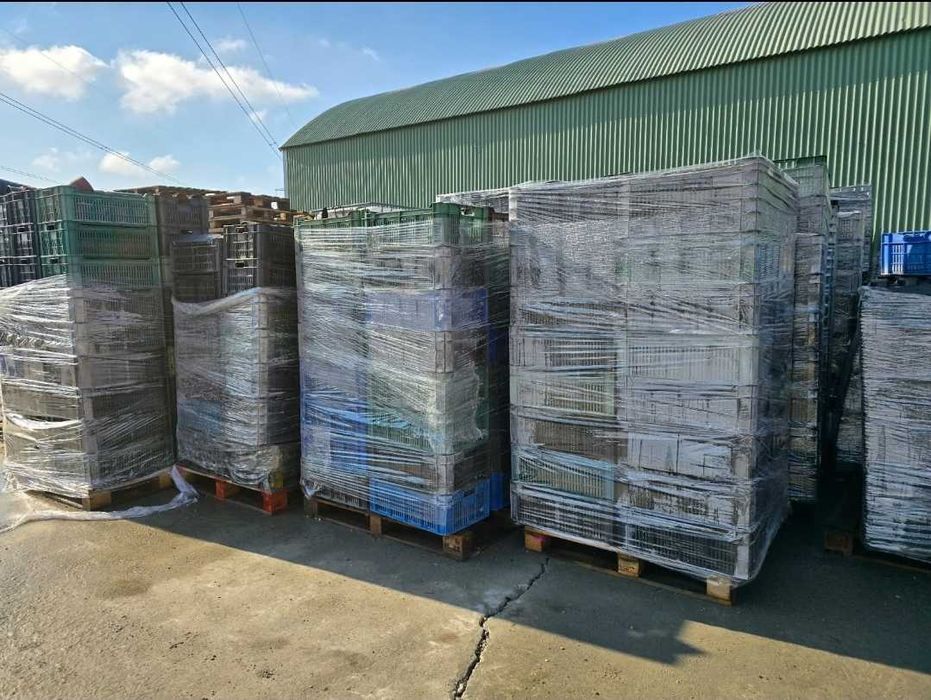 Lazi depozitare fructe/legume si ghivece de plastic