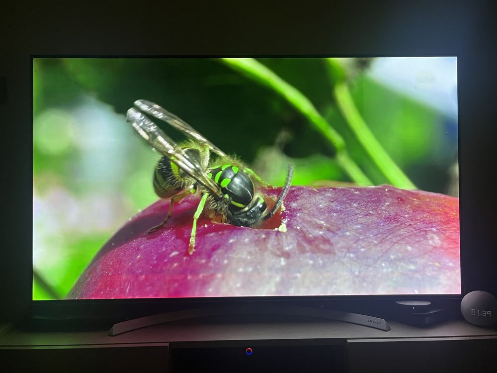 LG OLED 55” B7V телевизор