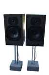 Boxe B&W model DM 100