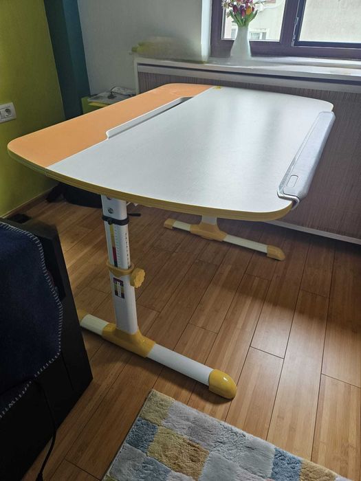 Vand Birou ergonomic copii Mobexpert