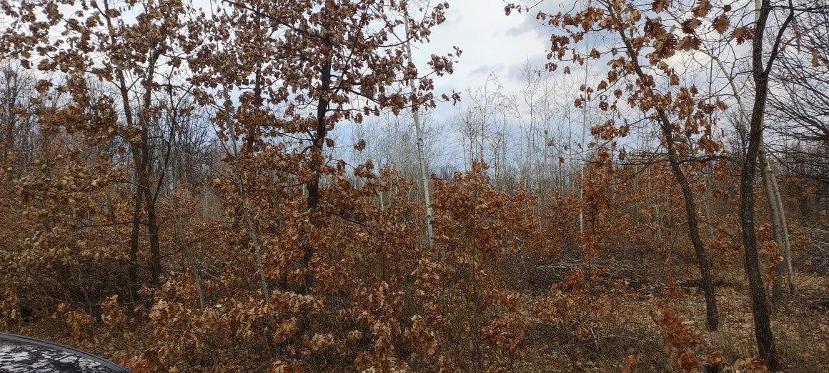 Teren înconjurat de pădure, pe trei laturi .