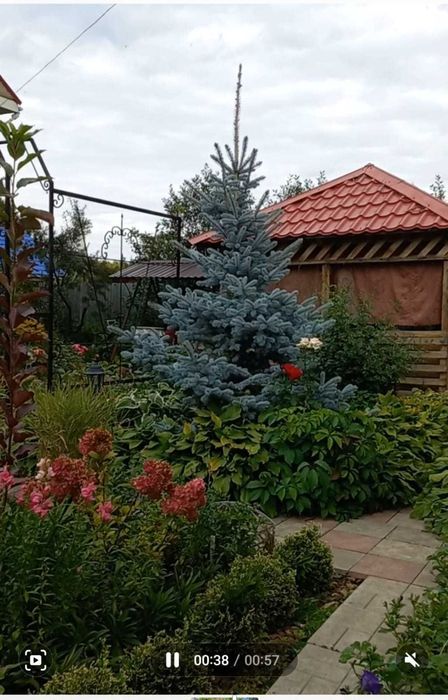 Продается дача с/д Восток на Пестром