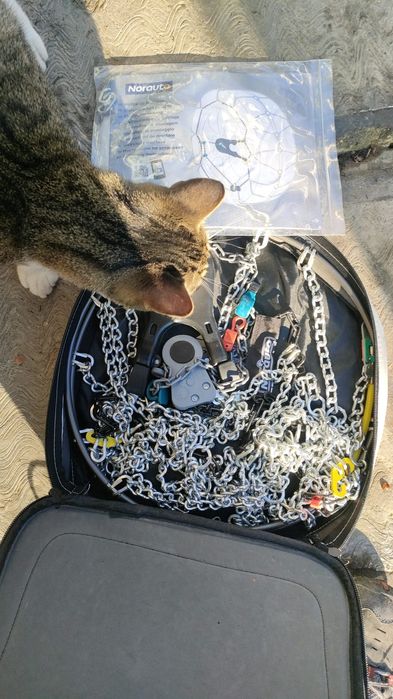 Accesori roti masina