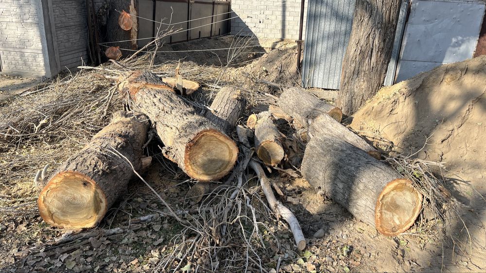Срочно продам дрова
