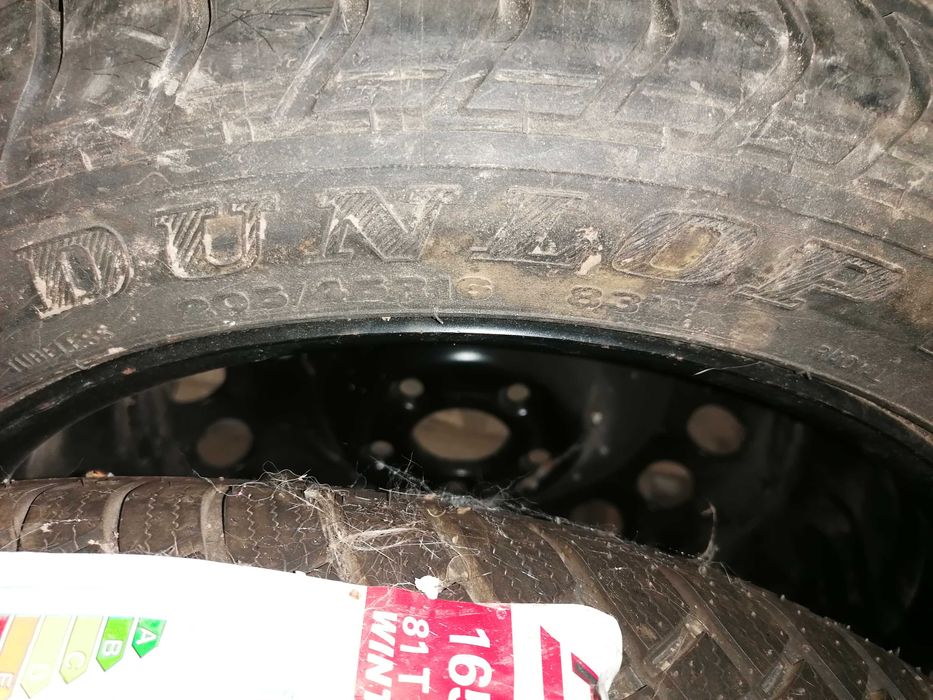 Cauciuc Dunlop Sport și Fortuna, noi