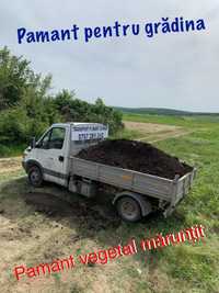 Pamant negru vegetal / Nisip Pietris Balastru / Transport moloz moluz