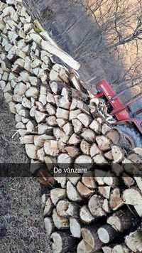 Vand lemne de foc fag și salcâm