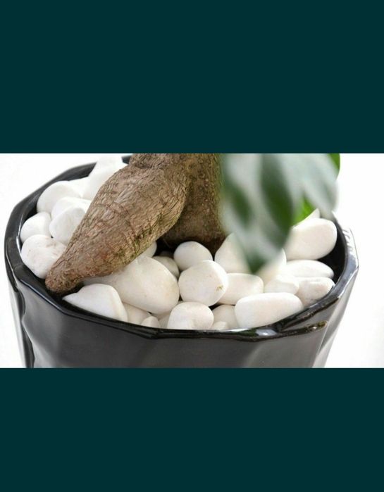 Камень/ Галька Белая/ Натуральный