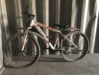 Velospet yangi holati