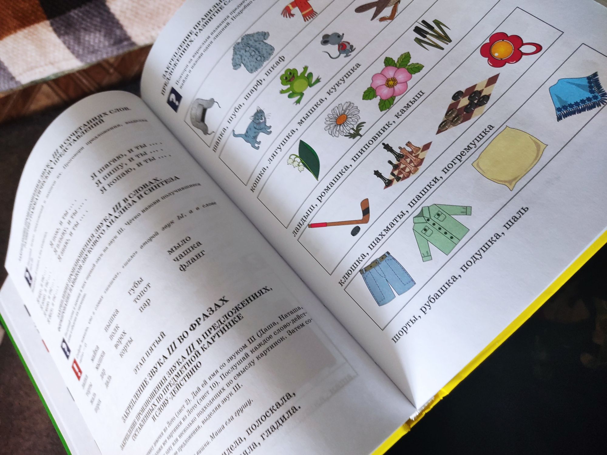 Логопед у вас дома книга