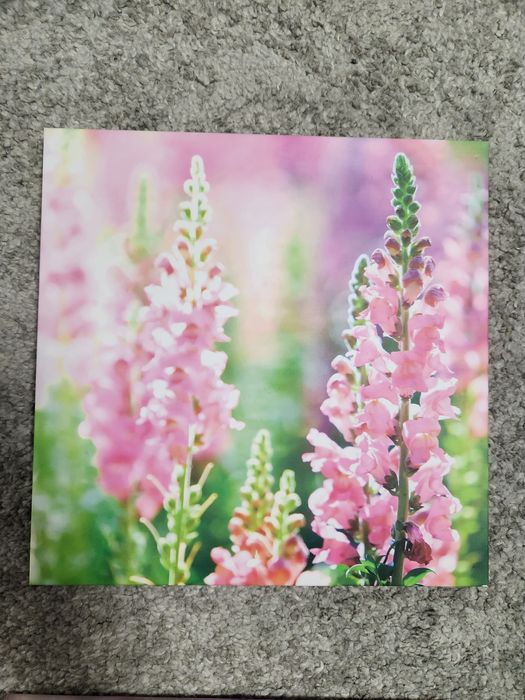 Vand 4 tablouri, canvas, noi