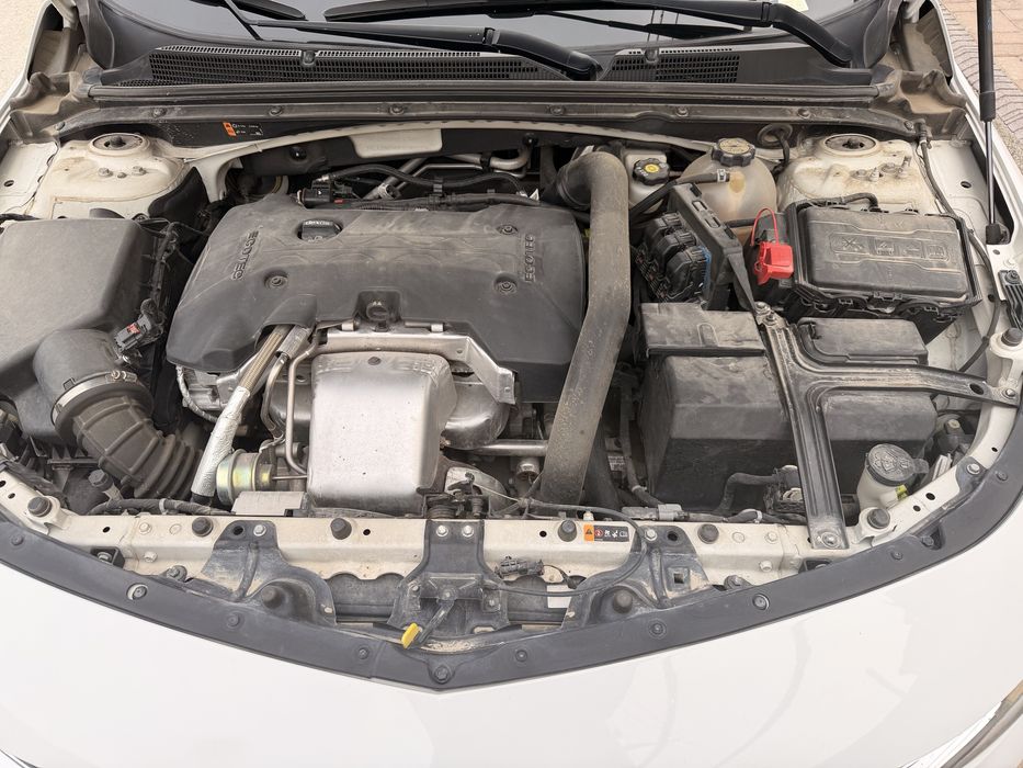 Malibu 2 PRIMER 100% - 2022