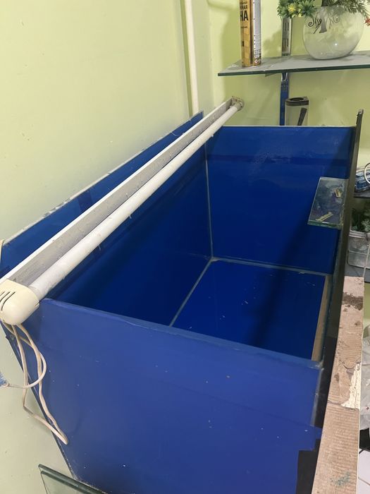 Baliqla uchun katta akvarium