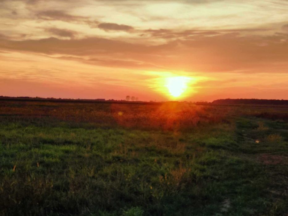 Teren INTRAVILAN CONSTRUIBIL parcelabil  COMISION 0% Alparea si Cheriu