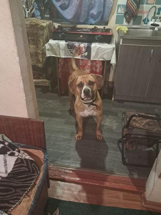 Вязка для кабеля