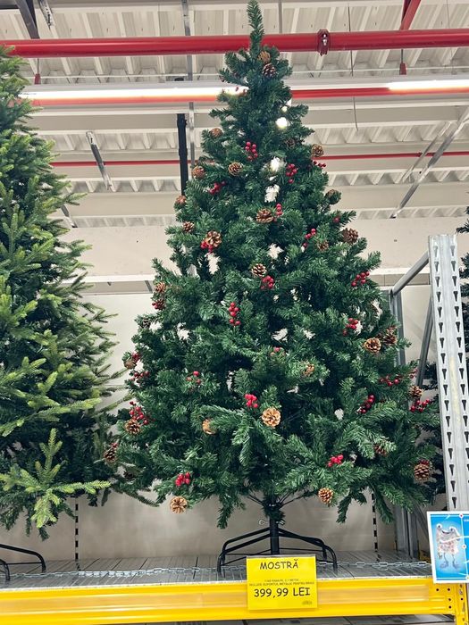 Vind brad 2.1 M nou sigilat.