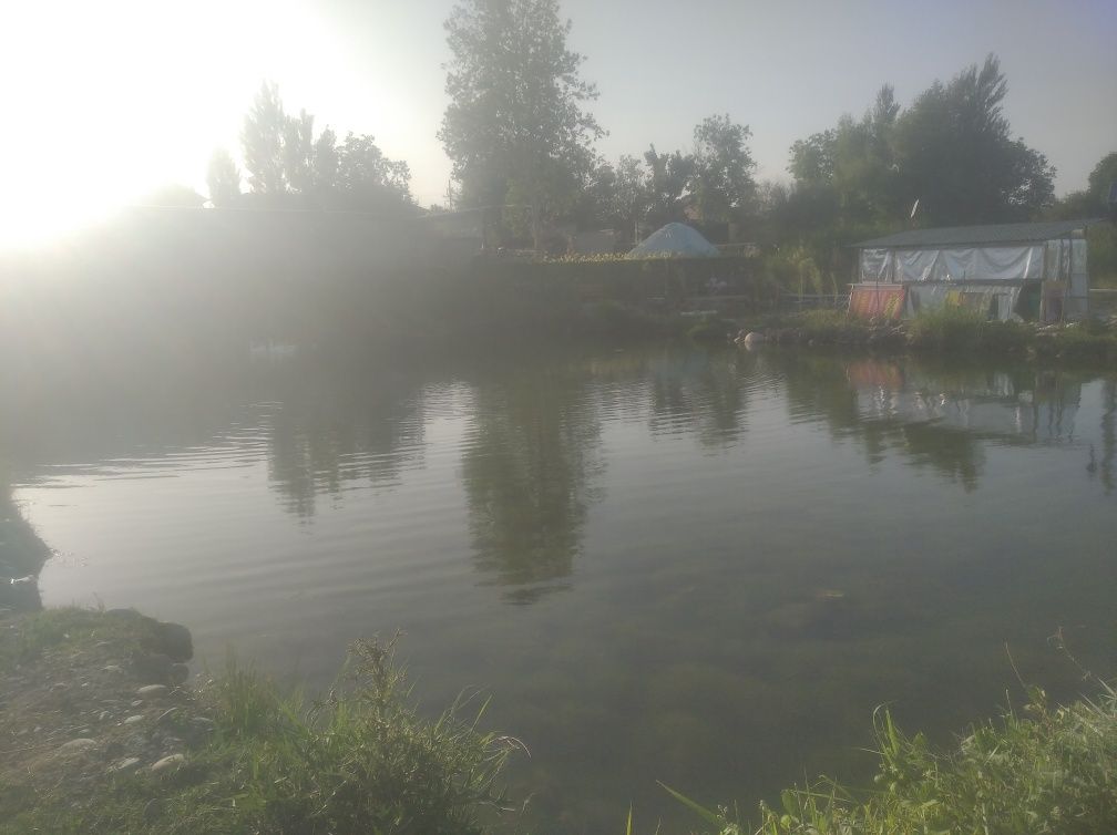 Сдаётся Водоём Для Разведения Рыбы