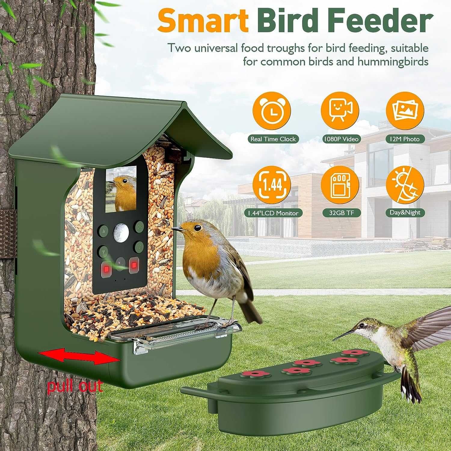 Hrănitor pentru păsări cu camera HD 1080P Poze/Video