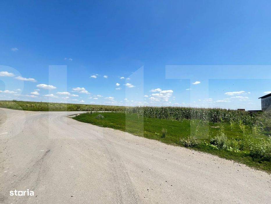 Teren intravilan 3000mp Catamarasti Deal