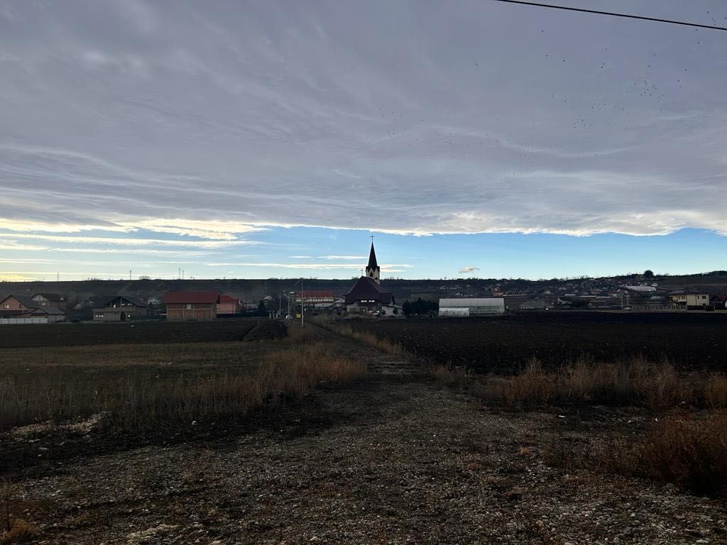 Teren extravilan, agricol, de vanzare - Margineni, Bacau