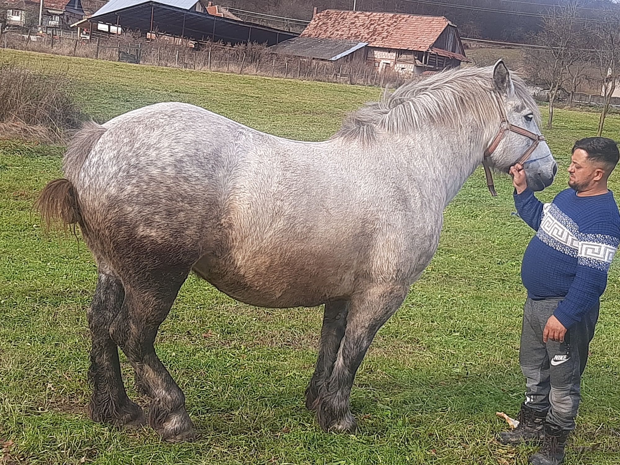 Iapa de vanzare de 5 ani cu pasaport