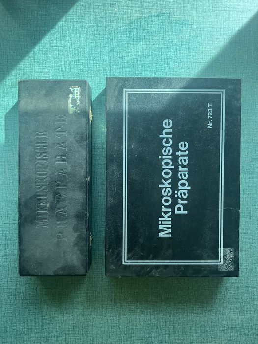 Lamele preparate pentru microscop