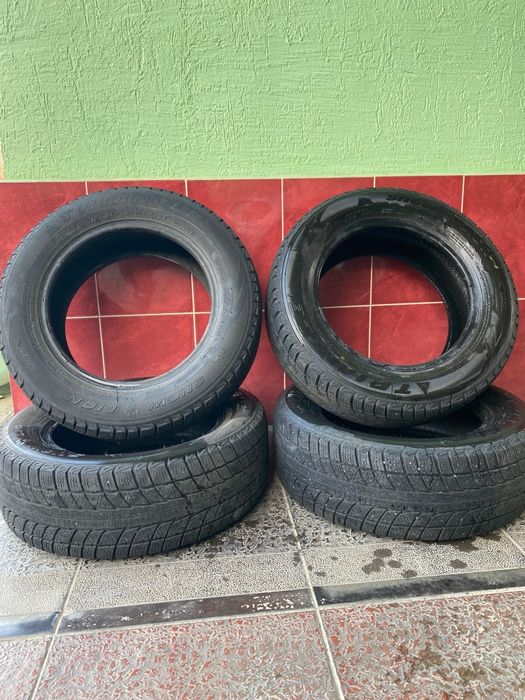 Зимние шины Triangle