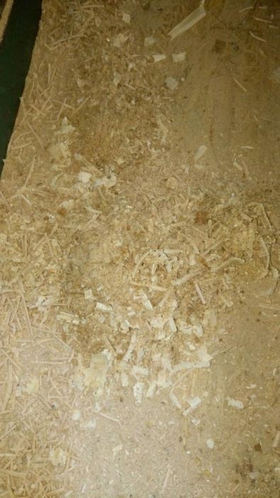 Vand Rumeguș pentru afumat și talaș pentru așternut