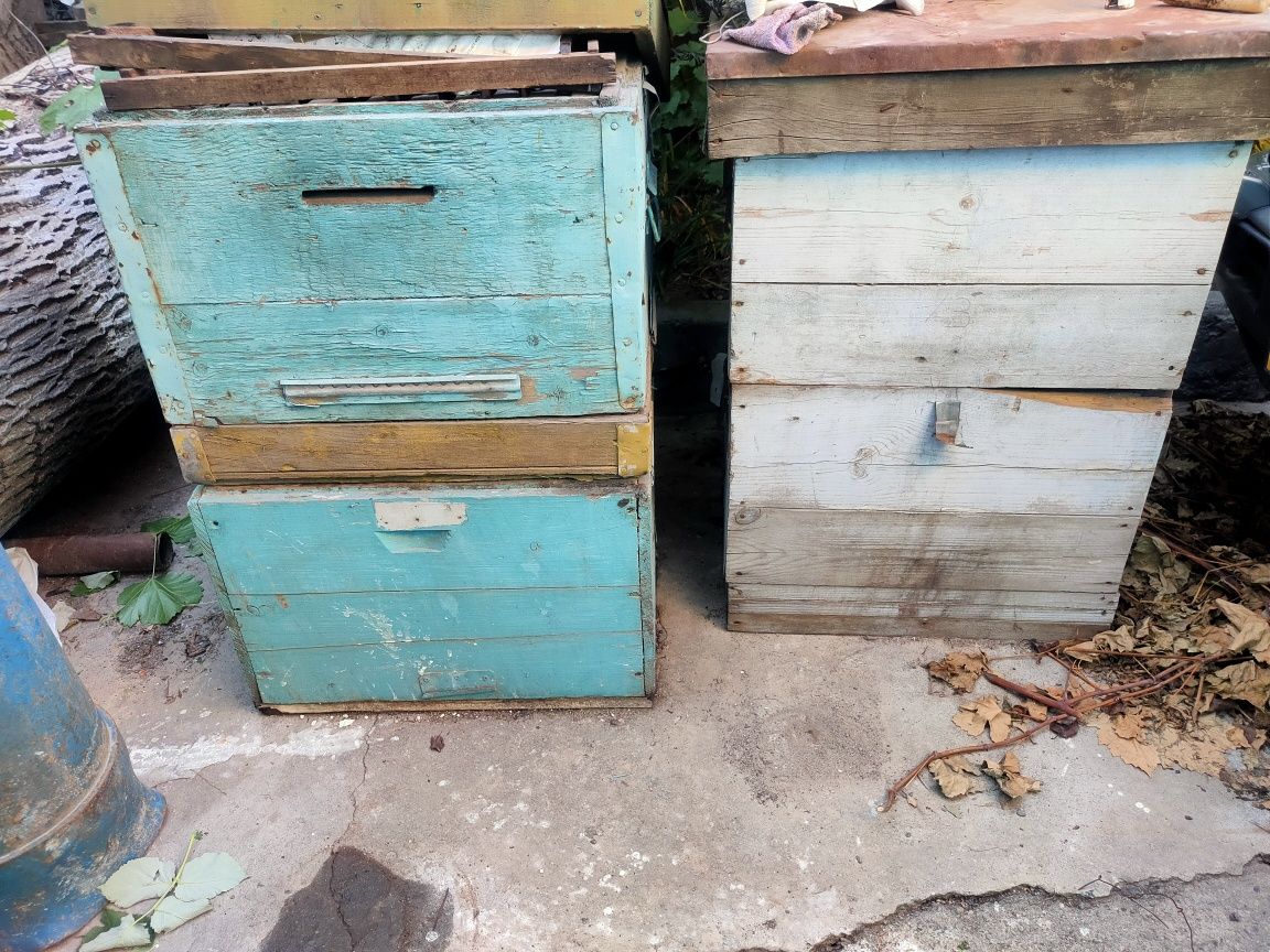 Продам улья для пчел с рамками