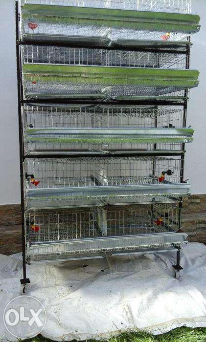 Baterie de 5 custi pentru 250buc. prepelite,custi prepelite