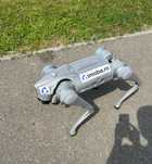Caine robot pui de rasa digitala