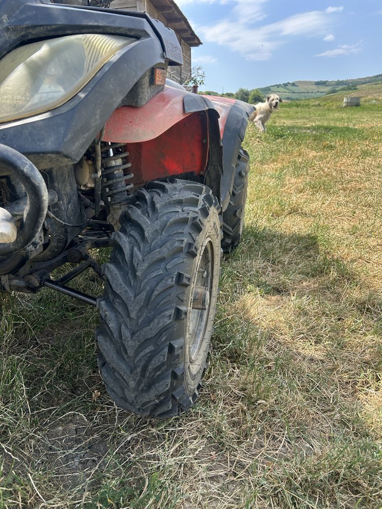Atv linhai 300.