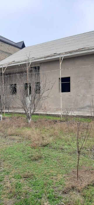 Hovli sotiladi 5 sotix